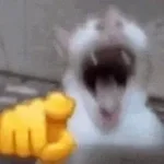 Cat Laughing At You (copy)