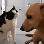 GIVE ME MY TOY RIGHT NOW