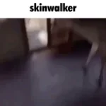 NOT A GOOD IDEA TO GO CAMPING-